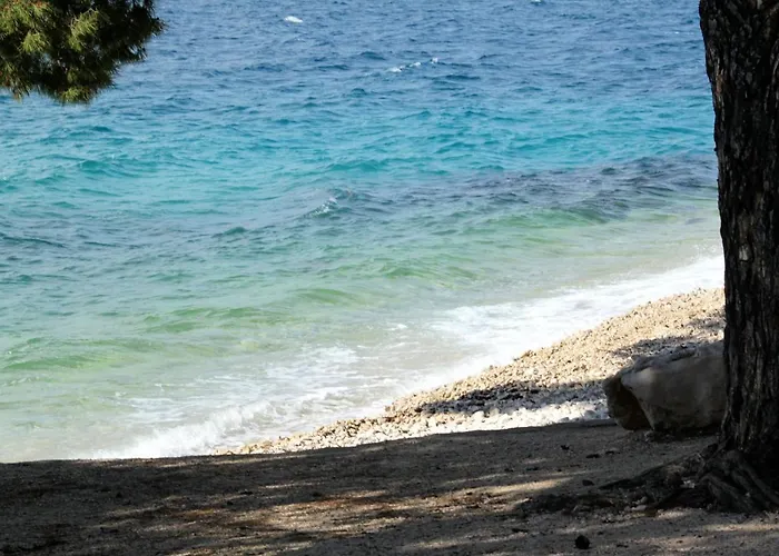 By The Sea Petrcane, Zadar - 21595 Petrcane